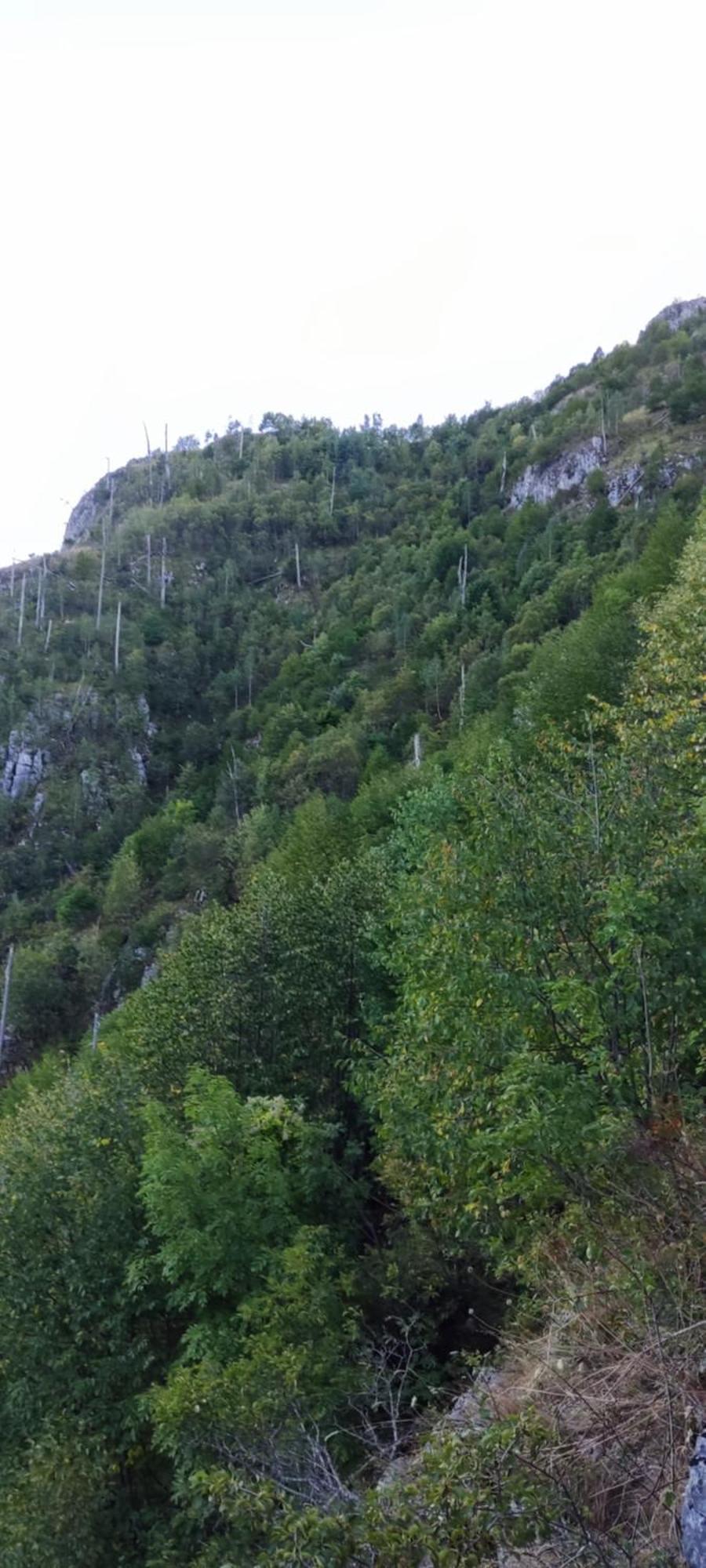 Weekend House In The Piva Nature Park Pluzine Exterior photo